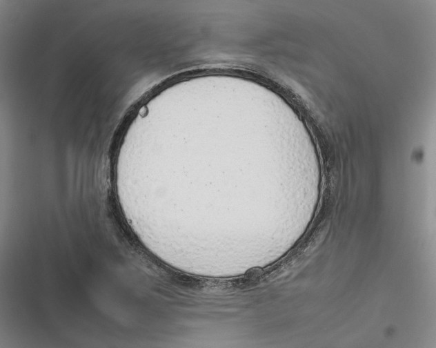 X0000116881267201001121315