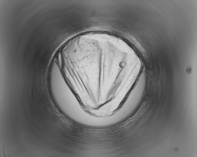 X0000116881268201001121315