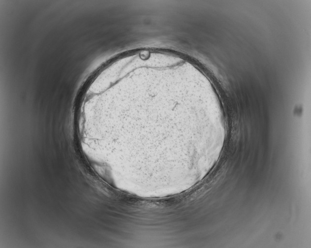 X0000116881270201001121315