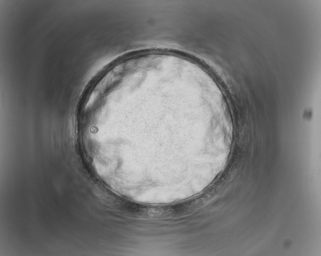 X0000116881271201001121315