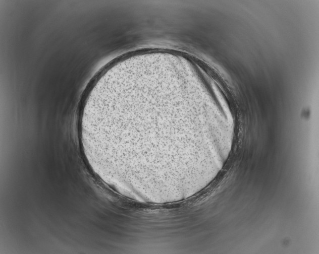 X0000116881272201001121315
