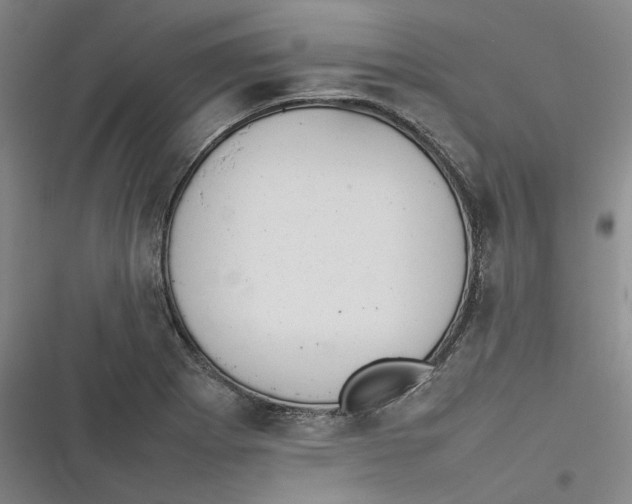 X0000116881273201001121315