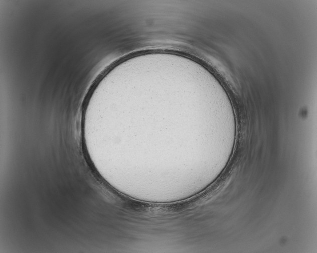 X0000116881275201001121315