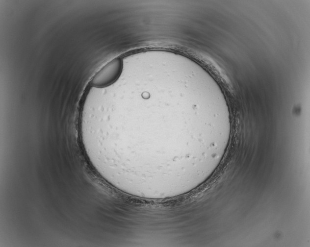 X0000116881276201001121315
