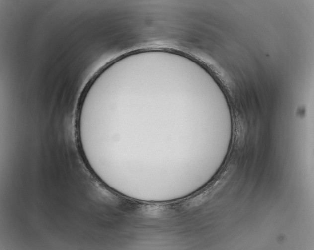 X0000116881278201001121315