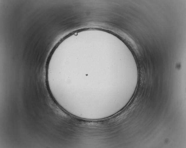 X0000116881280201001121315