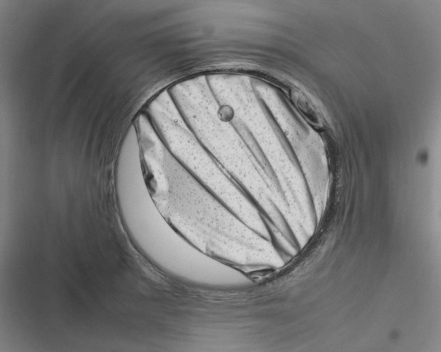 X0000116881281201001121315