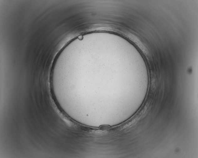 X0000116881282201001121315