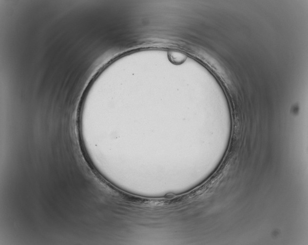 X0000116881283201001121315