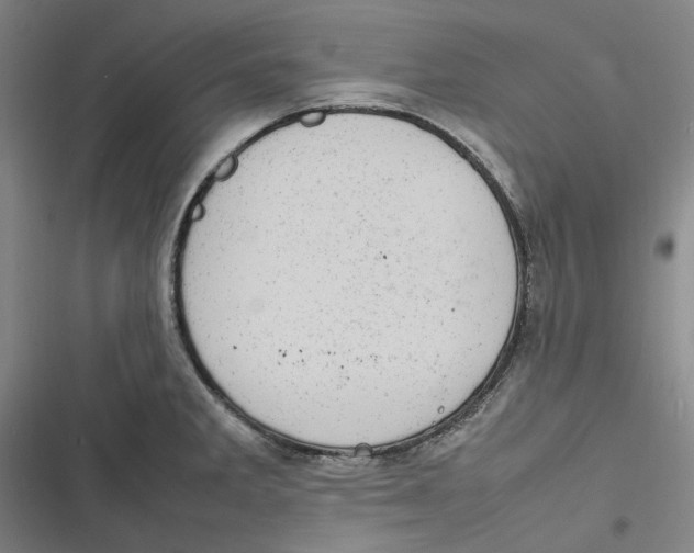 X0000116881285201001121315