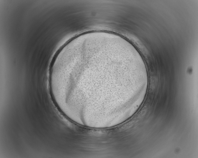 X0000116881286201001121315