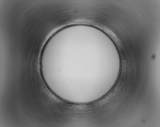 X0000116881288201001121315