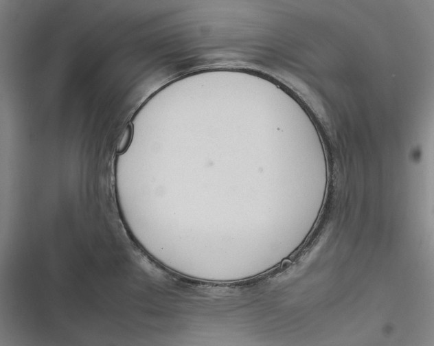 X0000116881289201001121315