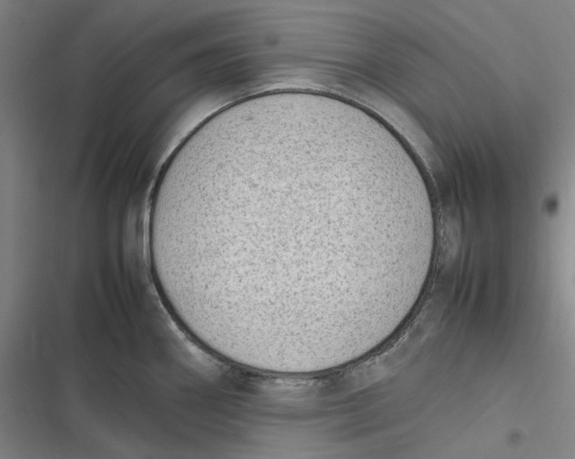 X0000116881290201001121315
