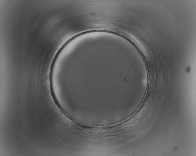 X0000116881291201001121315