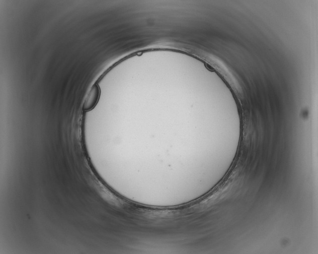 X0000116881292201001121315