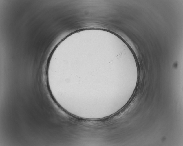 X0000116881293201001121315