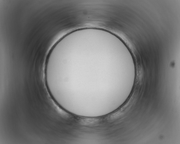 X0000116881294201001121315