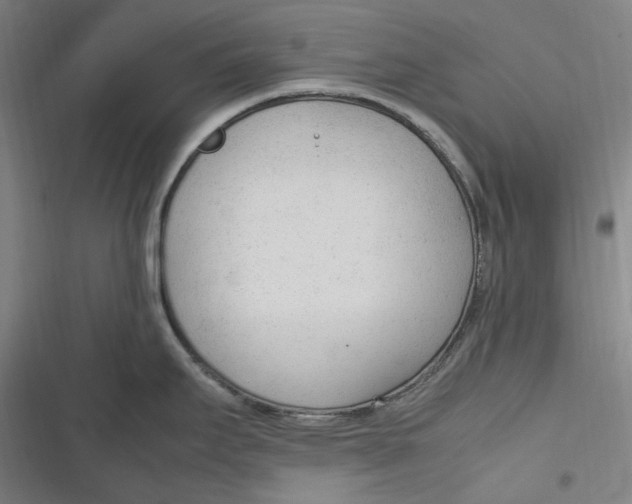 X0000116881295201001121315