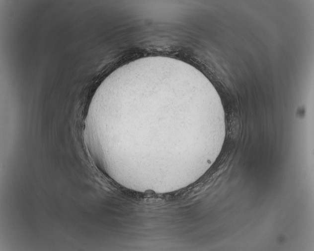 X0000116881297201001121314