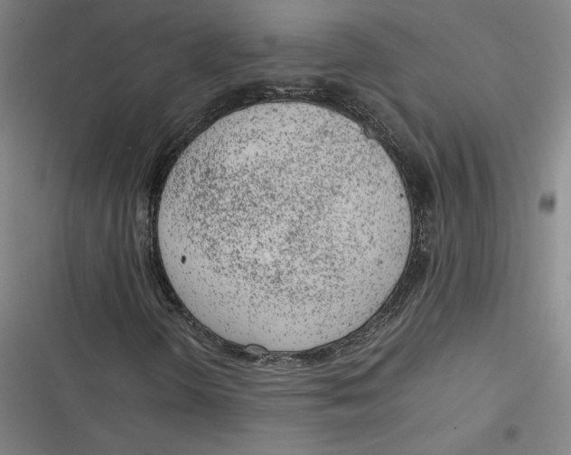 X0000116881298201001121314