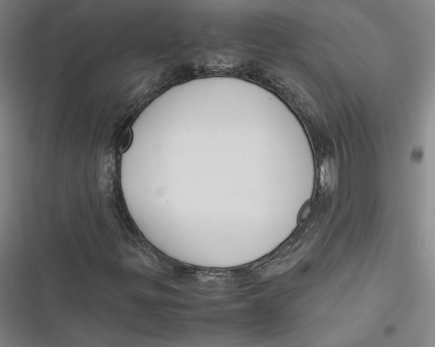 X0000116881299201001121314