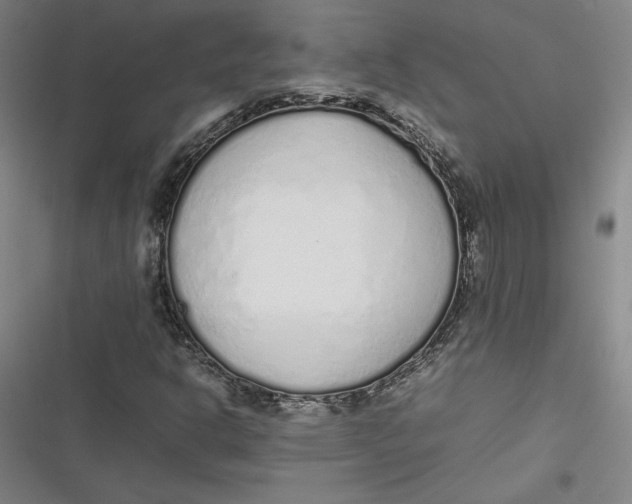 X0000116881302201001121314