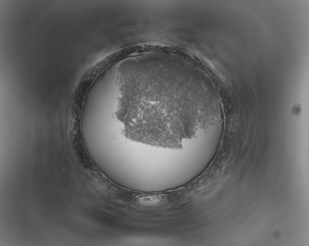 X0000116881303201001121314