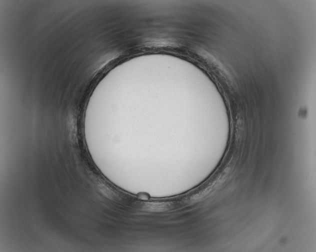X0000116881305201001121314