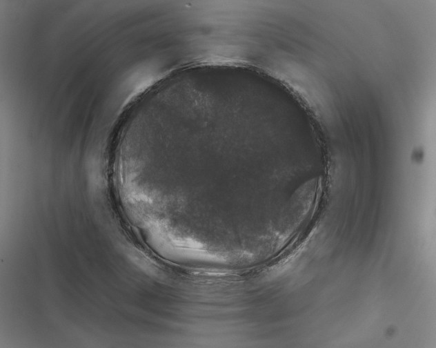 X0000116881306201001121314