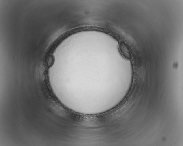 X0000116881310201001121314