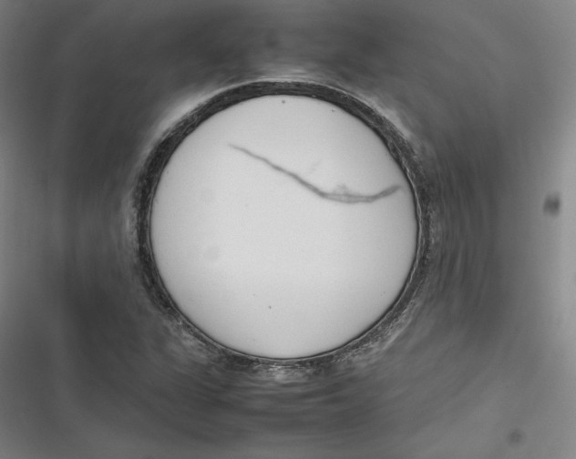 X0000116881311201001121314