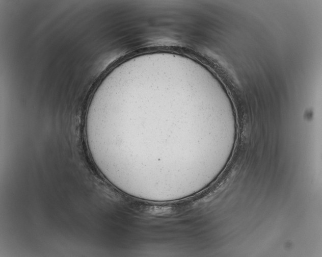 X0000116881313201001121314