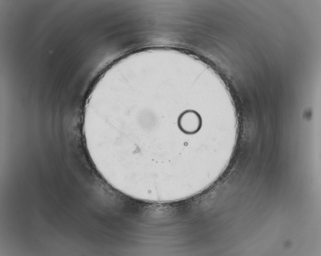 X0000116881314201001121314