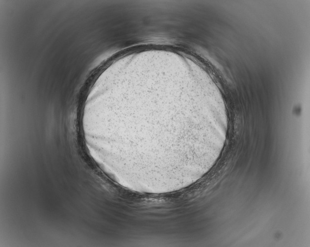X0000116881315201001121314