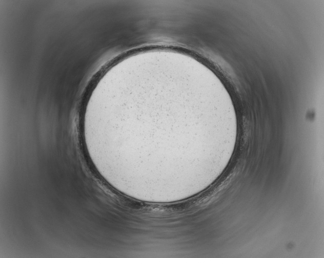X0000116881318201001121314