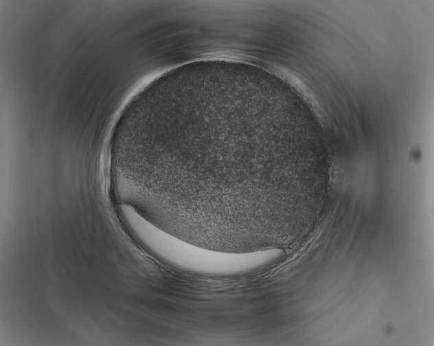 X0000116881323201001121314