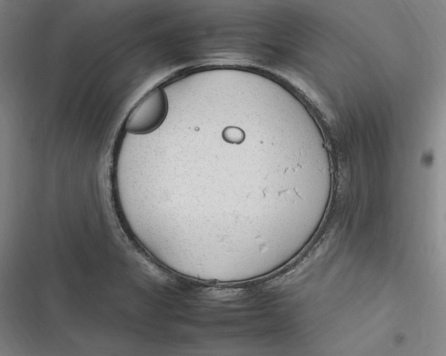 X0000116881325201001121314