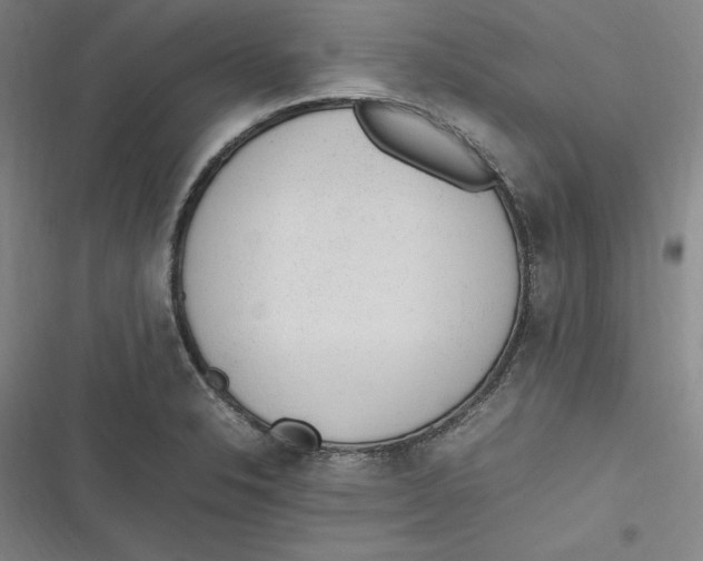 X0000116881326201001121314