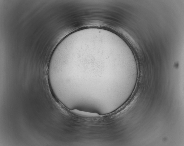 X0000116881329201001121314