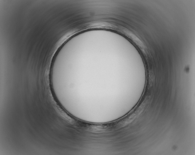 X0000116881330201001121314