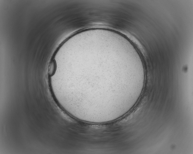 X0000116881333201001121314