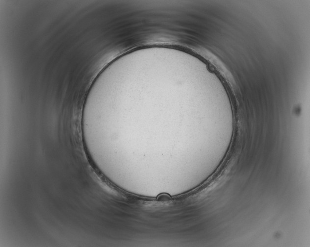 X0000116881337201001121314