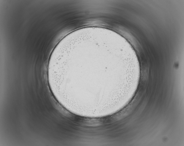 X0000116881338201001121314