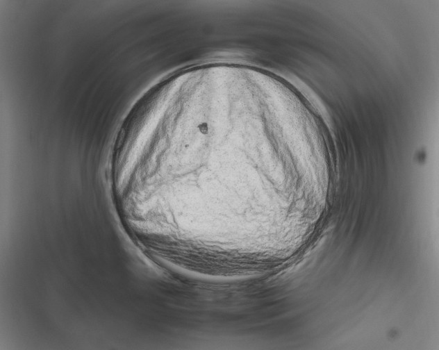 X0000116881341201001121314