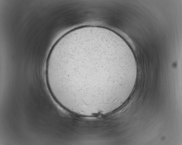 X0000116881343201001121315