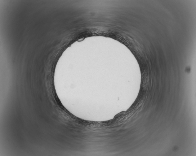 X0000116881345201001121314