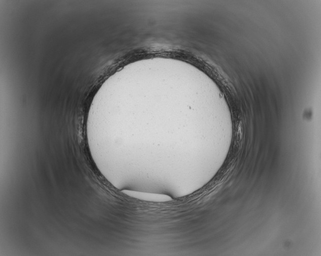 X0000116881348201001121314