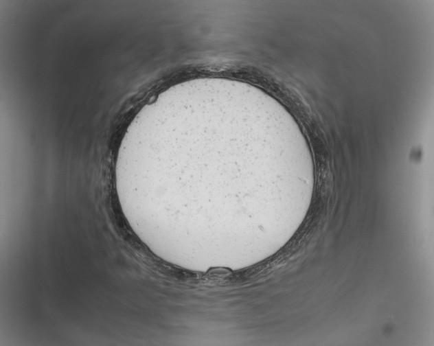 X0000116881349201001121314