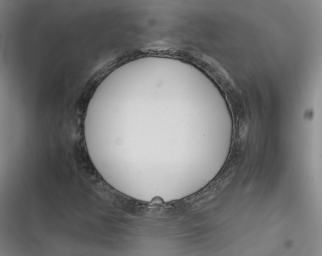 X0000116881350201001121314